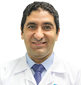 Dr. Emad Hamid Abdeldayem
