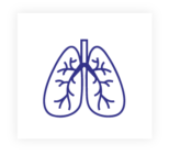 Respiratory and Allergy Unit