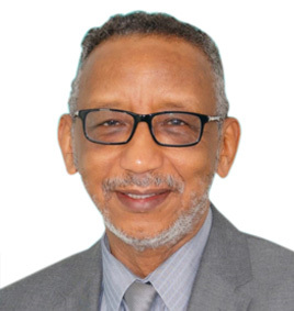 Prof. Ahmed Abdel- Gadir