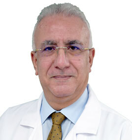 Dr. Hisham M. AbdelFattah